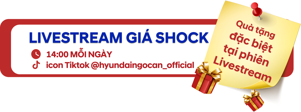 Livestream giá shock Hyundai Ngọc An